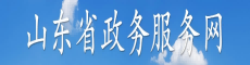 山东省政务服务网